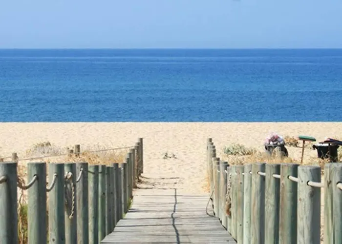 Ria Center - Right * ファロ